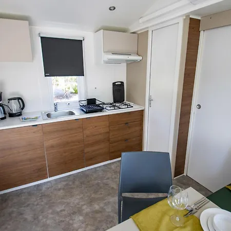 招待所 施普利瓦尔德假日酒店 3*