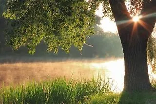 Ferien Spreewald 3*